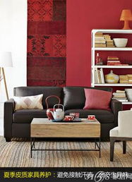 夏季家居保养全攻略 布艺与皮质家具的养护指南